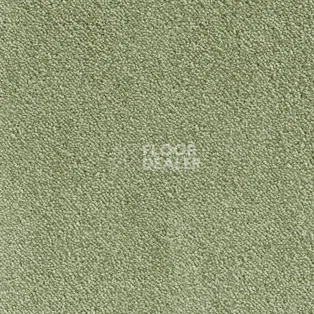 Ковролин AW Strada 22 фото 1 | FLOORDEALER